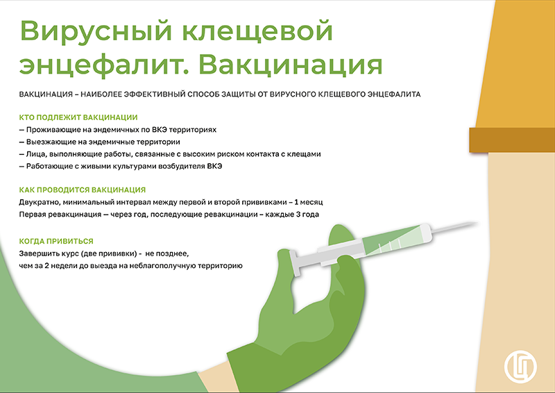 Клещевой энцефалит
